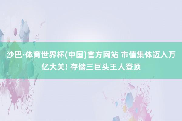 沙巴·体育世界杯(中国)官方网站 市值集体迈入万亿大关! 存储三巨头王人登顶