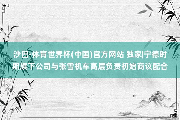 沙巴·体育世界杯(中国)官方网站 独家|宁德时期旗下公司与张雪机车高层负责初始商议配合