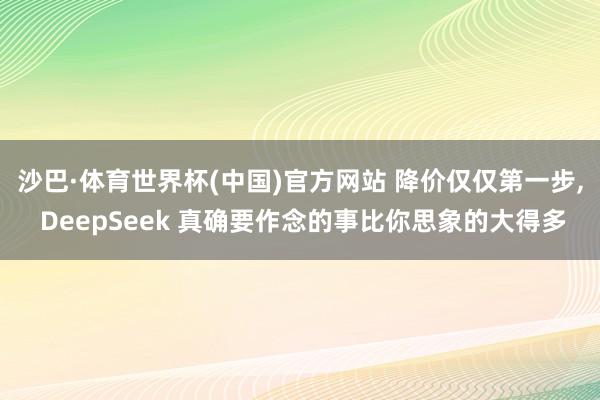 沙巴·体育世界杯(中国)官方网站 降价仅仅第一步， DeepSeek 真确要作念的事比你思象的大得多