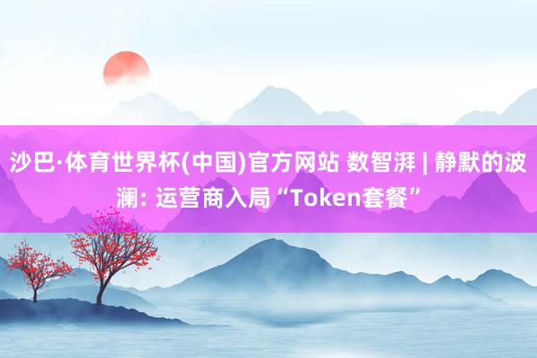 沙巴·体育世界杯(中国)官方网站 数智湃 | 静默的波澜: 运营商入局“Token套餐”