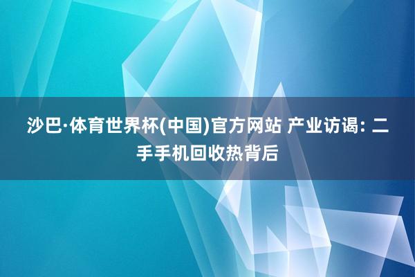 沙巴·体育世界杯(中国)官方网站 产业访谒: 二手手机回收热背后