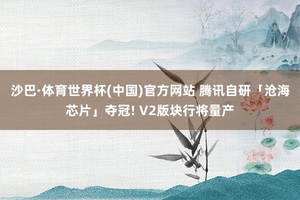沙巴·体育世界杯(中国)官方网站 腾讯自研「沧海芯片」夺冠! V2版块行将量产
