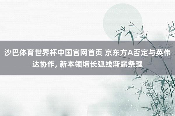 沙巴体育世界杯中国官网首页 京东方A否定与英伟达协作， 新本领增长弧线渐露条理