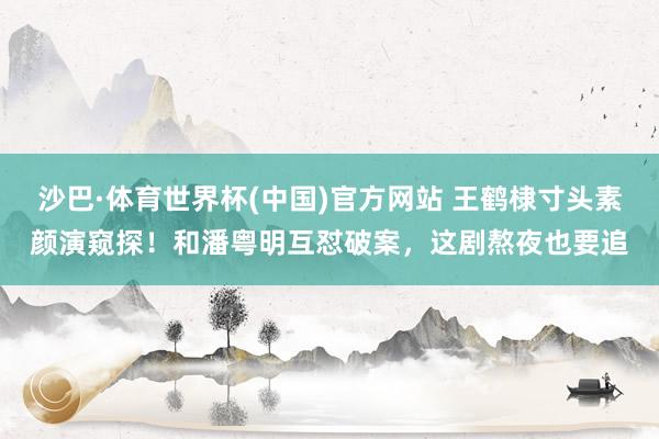 沙巴·体育世界杯(中国)官方网站 王鹤棣寸头素颜演窥探！和潘粤明互怼破案，这剧熬夜也要追