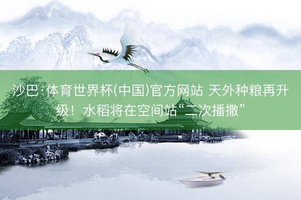 沙巴·体育世界杯(中国)官方网站 天外种粮再升级！水稻将在空间站“二次播撒”