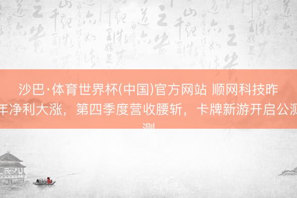 沙巴·体育世界杯(中国)官方网站 顺网科技昨年净利大涨，第四季度营收腰斩，卡牌新游开启公测
