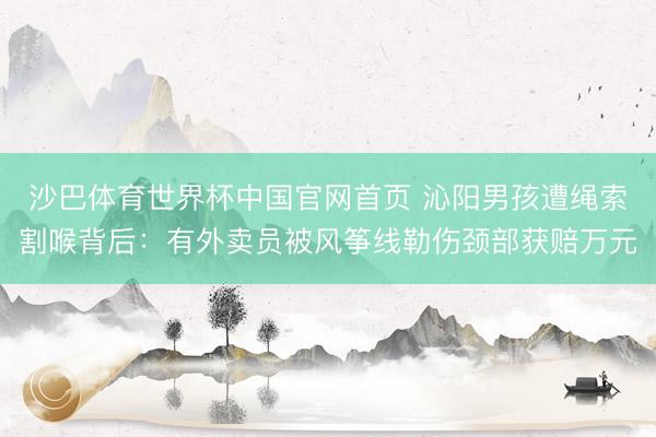 沙巴体育世界杯中国官网首页 沁阳男孩遭绳索割喉背后:有外卖员被风筝线勒伤颈部获赔万元