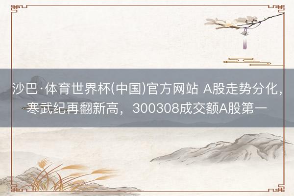 沙巴·体育世界杯(中国)官方网站 A股走势分化，寒武纪再翻新高，300308成交额A股第一